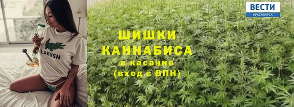 шишки Алзамай